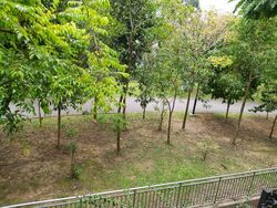 Villa Azura (D10), Condominium #446722391